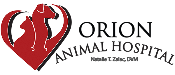 Orion Animal Hospital