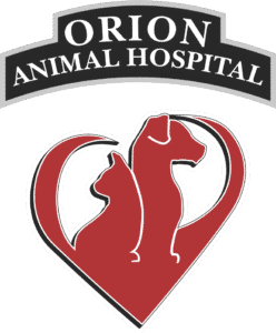 Orion veterinarian